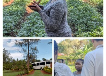 Exploring Market Dynamics: Insights from the Vegetables Value Chain