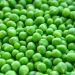 Pea Yield Revolution: Doubling Crop Productivity Using Biotechnology