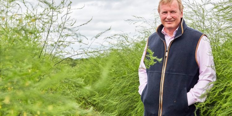 Planting success: a decade of triumph for British asparagus Freshfields