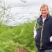 Planting success: a decade of triumph for British asparagus Freshfields