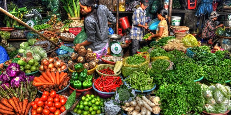 Vietnam Agriculture: The Power of Value-Added Processing