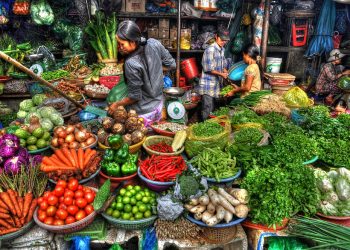 Rising Market Demands: Challenges and Opportunities for Vietnamese Agriculture