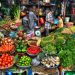 Rising Market Demands: Challenges and Opportunities for Vietnamese Agriculture