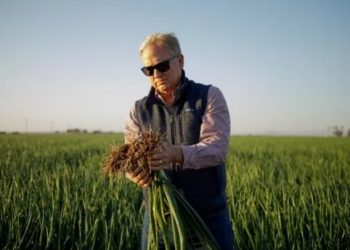 Drip Irrigation Innovation Boosts Crop Yields at California Vegetable Farm