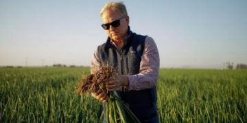 Drip Irrigation Innovation Boosts Crop Yields at California Vegetable Farm
