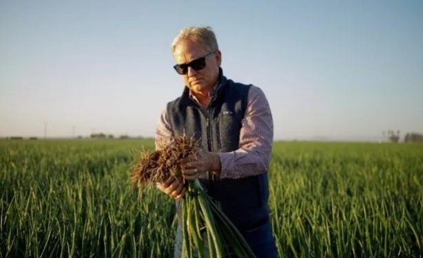 Drip Irrigation Innovation Boosts Crop Yields at California Vegetable Farm