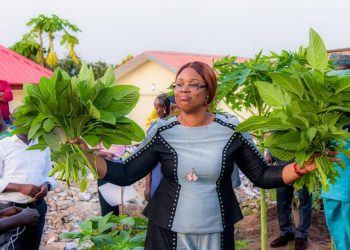 Empowering Ekiti women through vegetable farming