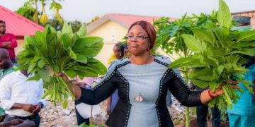 Empowering Ekiti women through vegetable farming