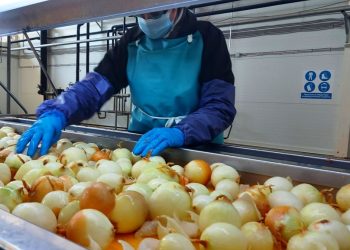 Innovations Transforming Agricultural Processing in Volgograd Region: A Growth Story