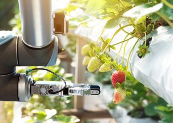 Federal Funding Propels Robotics Projects in Farming and Food Processing