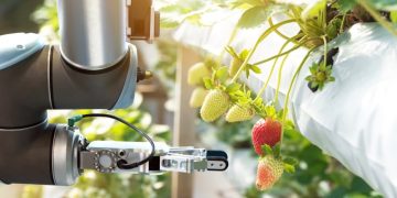 Federal Funding Propels Robotics Projects in Farming and Food Processing