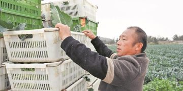 Revolutionizing Supply Chains for Fresh Produce