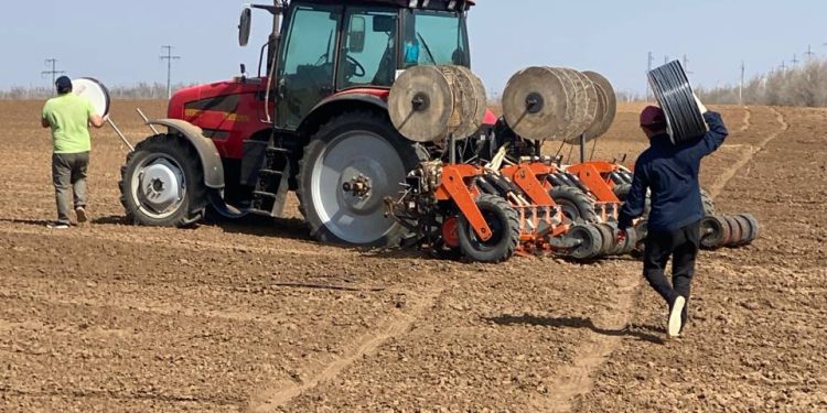 Russian Farmers Amidst the Absurdity of Pesticide Control: Challenges and Prospects in the Onion Planting Season