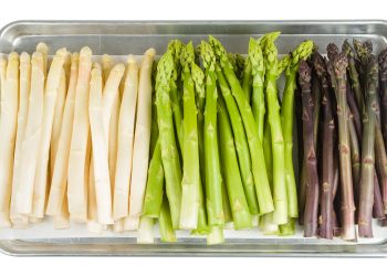 Spring farming underway: ideas from Norwegian green producers