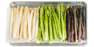 Spring farming underway: ideas from Norwegian green producers