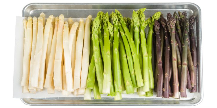 Spring farming underway: ideas from Norwegian green producers