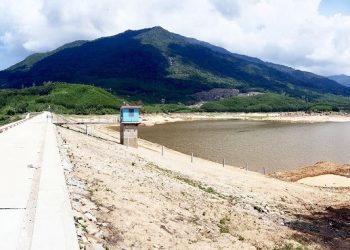 Overcoming adversity: fighting drought in Quang Nam’s agricultural sector