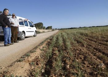 Unlocking Agricultural Potential: Mobilizing Unused Land