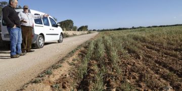 Unlocking Agricultural Potential: Mobilizing Unused Land