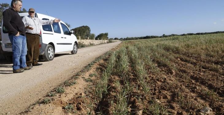 Unlocking Agricultural Potential: Mobilizing Unused Land