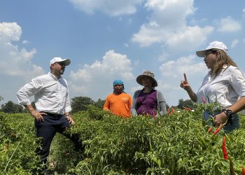 Empowering Farmers in Thailand’s Vibrant Agricultural Landscape