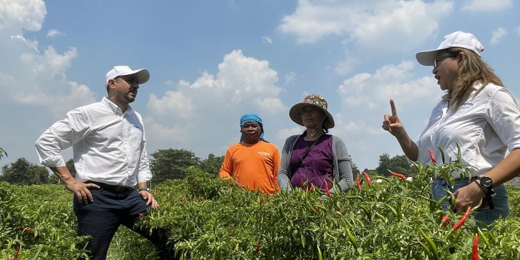 Empowering Farmers in Thailand’s Vibrant Agricultural Landscape