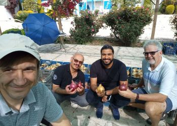 Advancing Onion Breeding: Bakker Brothers’ Innovations in Jordan 2024
