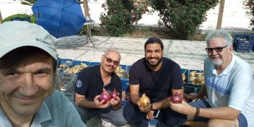 Advancing Onion Breeding: Bakker Brothers’ Innovations in Jordan 2024