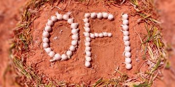 Leading the Onion Industry: Innovation and Excellence in Harvesting