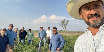 Unlocking Opportunities in Sustainable Vegetable Farming