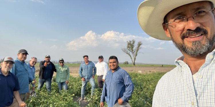 Unlocking Opportunities in Sustainable Vegetable Farming