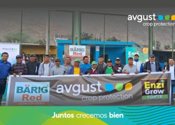 Boosting Competitiveness in Paprika Production: Insights from the “Copa AVGUST”