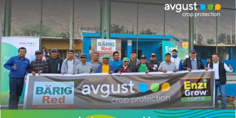 Boosting Competitiveness in Paprika Production: Insights from the “Copa AVGUST”