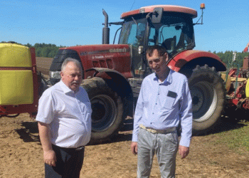 Innovative liquid fertilizers will increase potato yields on Borovichi farms