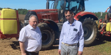 Innovative liquid fertilizers will increase potato yields on Borovichi farms