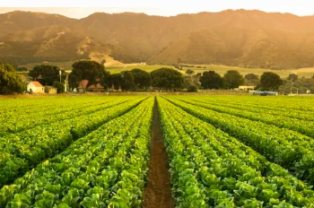 Unlocking the Power of PROTAC: Revolutionizing Medicine and Agriculture