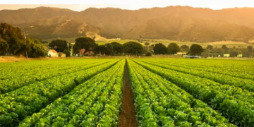 Unlocking the Power of PROTAC: Revolutionizing Medicine and Agriculture