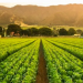 Unlocking the Power of PROTAC: Revolutionizing Medicine and Agriculture