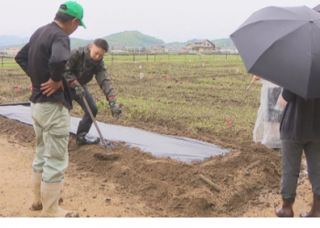Revitalizing Vacant Land: The Success of Kiyone Community Garden in Soja