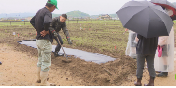 Revitalizing Vacant Land: The Success of Kiyone Community Garden in Soja