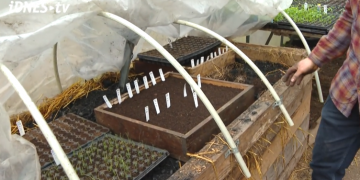 Space Saving Techniques for Growing Seedlings: How the Gallaghers Maximize Yields in Limited Space