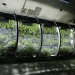 NASA’s LEAF Experiment: Growing Food on the Moon for Future Space Missions