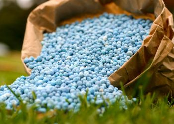The influence of Russian fertilizers on the European food market