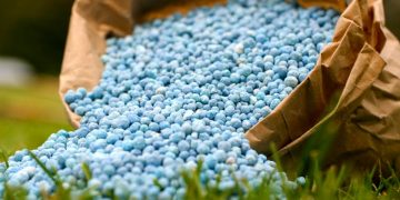 The influence of Russian fertilizers on the European food market