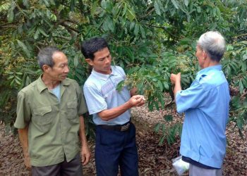 Groundbreaking nanotechnology: a sustainable solution for the future of agriculture