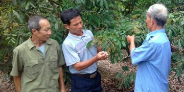 Groundbreaking nanotechnology: a sustainable solution for the future of agriculture