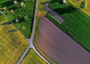 Using Organic Farming: Methods and Benefits for Sustainable Agriculture