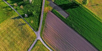 Using Organic Farming: Methods and Benefits for Sustainable Agriculture