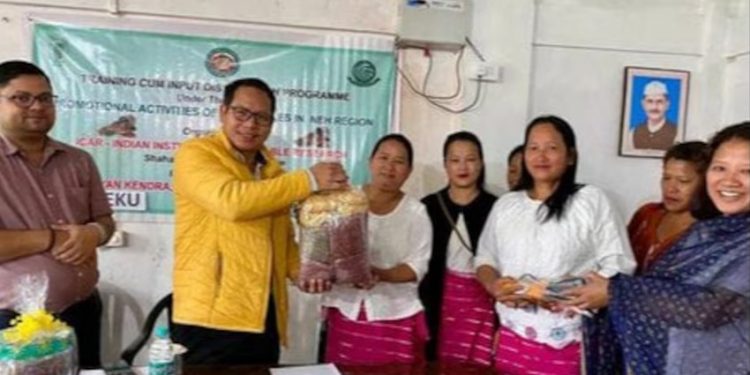 Farm Science Centre (KVK) in Arunachal Pradesh, a northeast state in India, Empowers Farmers Through Training on Vegetable Production