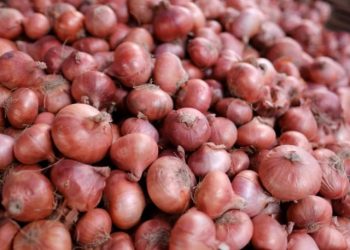 Onion Prices in Bangladesh Drop by Tk10 After India Ends Export Ban.